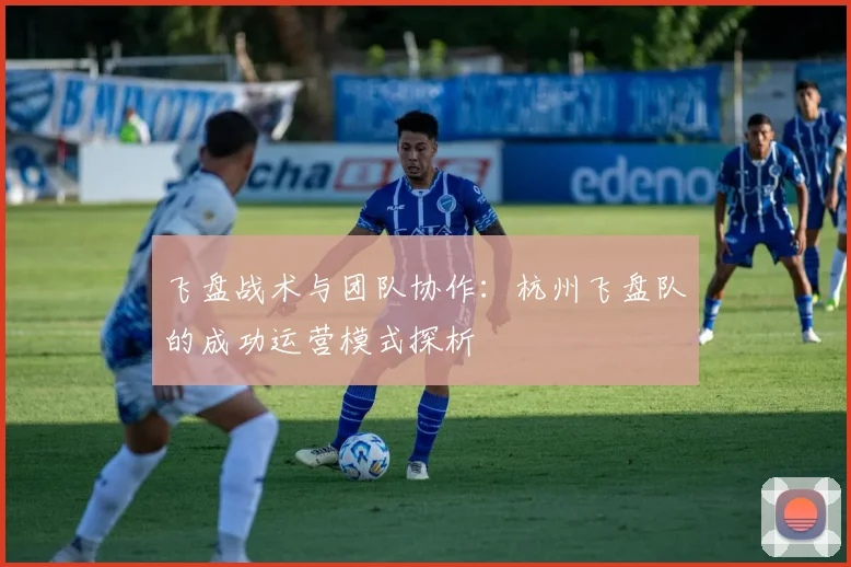 飞盘战术与团队协作：杭州飞盘队的成功运营模式探析