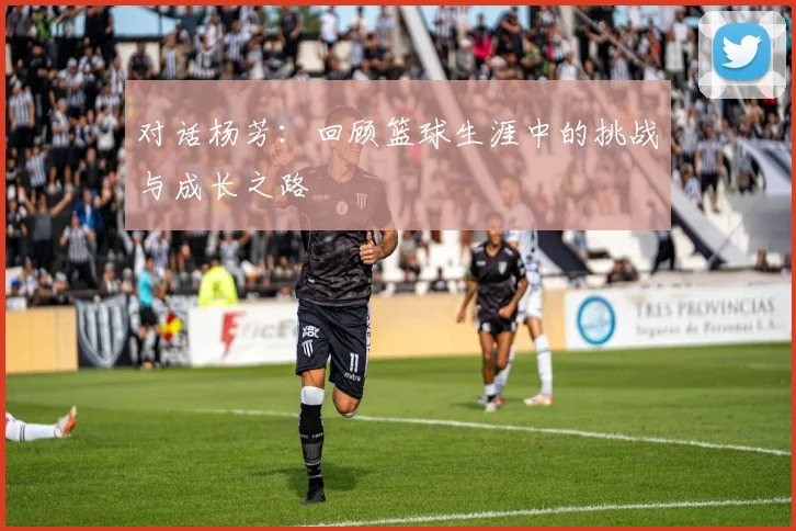 对话杨芳：回顾篮球生涯中的挑战与成长之路